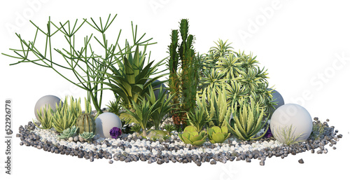 Canvas Print Cactus garden decorated with stones on a transparent background