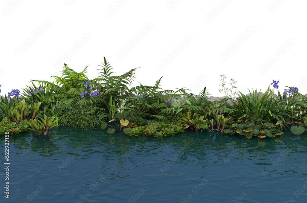 Waterfront plants on a transparent background Waterfront plants on a transparent background