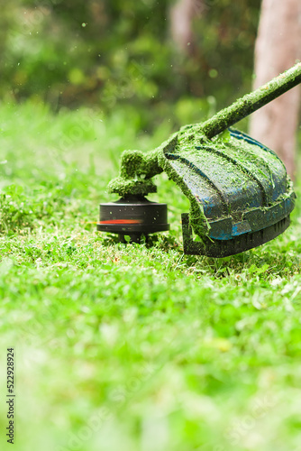 Gardening. Cutting the lawn with cordless grass trimmer, edger,
