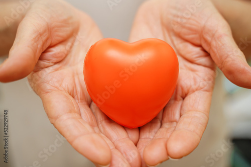 Fototapeta Naklejka Na Ścianę i Meble -  Grandmother woman hands holding red heart, healthcare, love, organ donation, mindfulness, wellbeing, family insurance and CSR concept, world heart day, world health day, national organ donor day