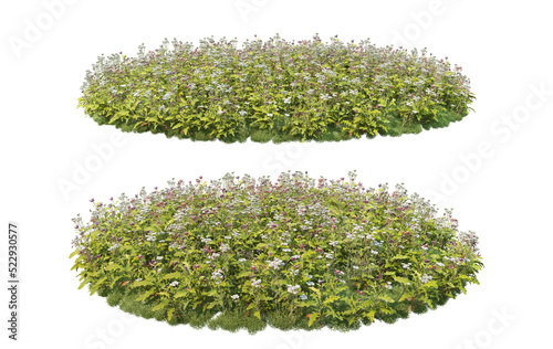 Meadow on a transparent background
