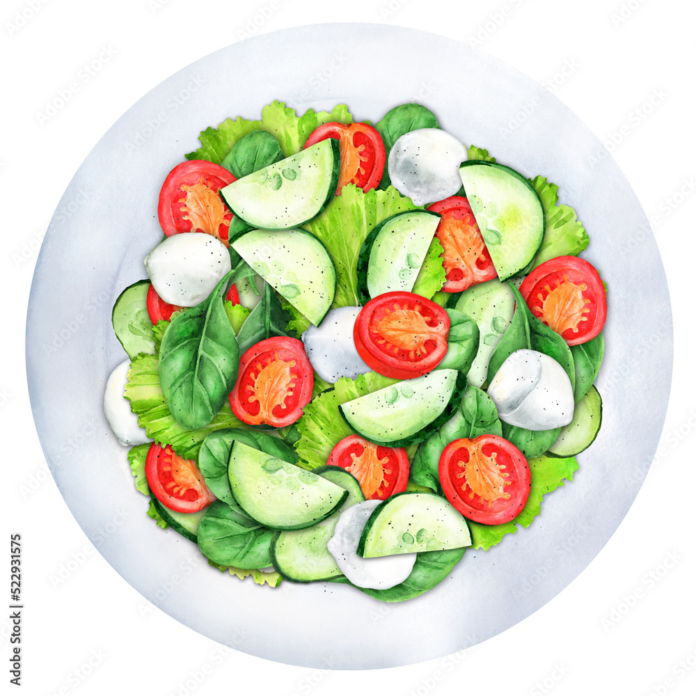 Salad with mozzarella and vegetables watercolor Salad with mozzarella and vegetables watercolor