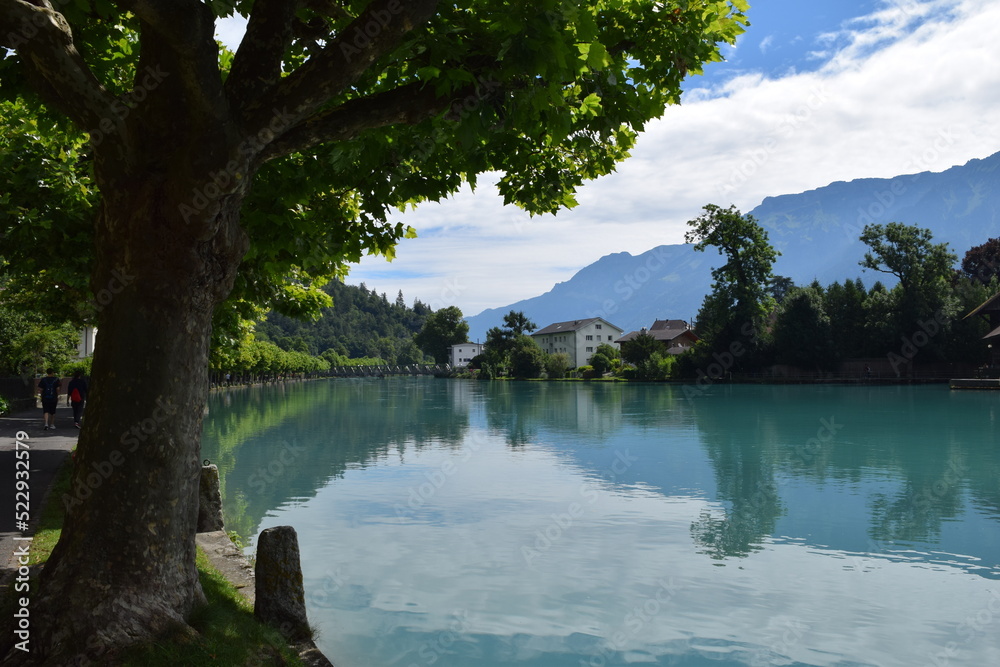 Interlaken landscape of river and trees