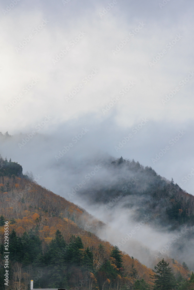Fototapeta premium 朝露と紅葉した層雲峡「秋の北海道」