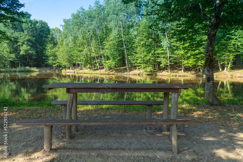 Table and benches on the shore of the pond near the forest