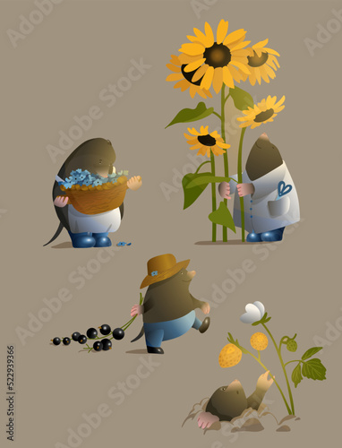 Gardener mole. Children's illustration of a mole. Cute animals, rodents. Cottager. Picking flowers. Sunflowers, currants and yellow strawberries.