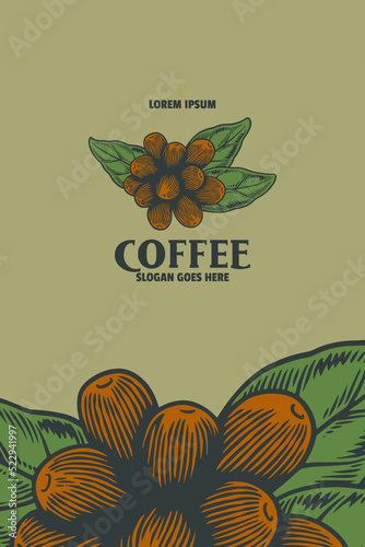 coffee bean vector illustra...