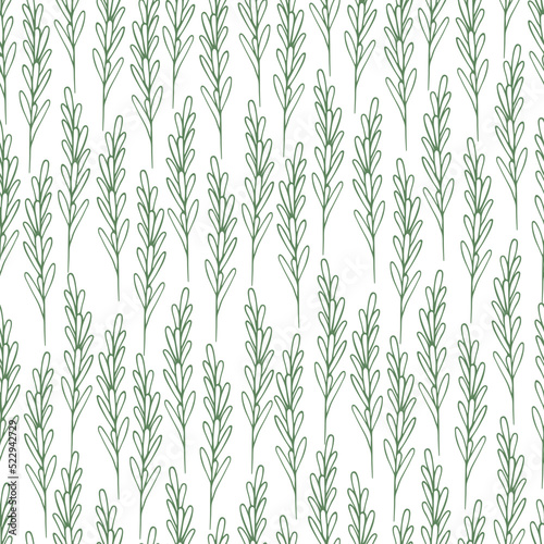 Rosemary. A green sprig of fragrant spice. Repeating vector pattern. Seamless floral ornament. Abstract background of twigs with leaves. Isolated colorless background. Doodle style. 