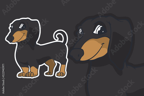 dachshund dog vector illust...