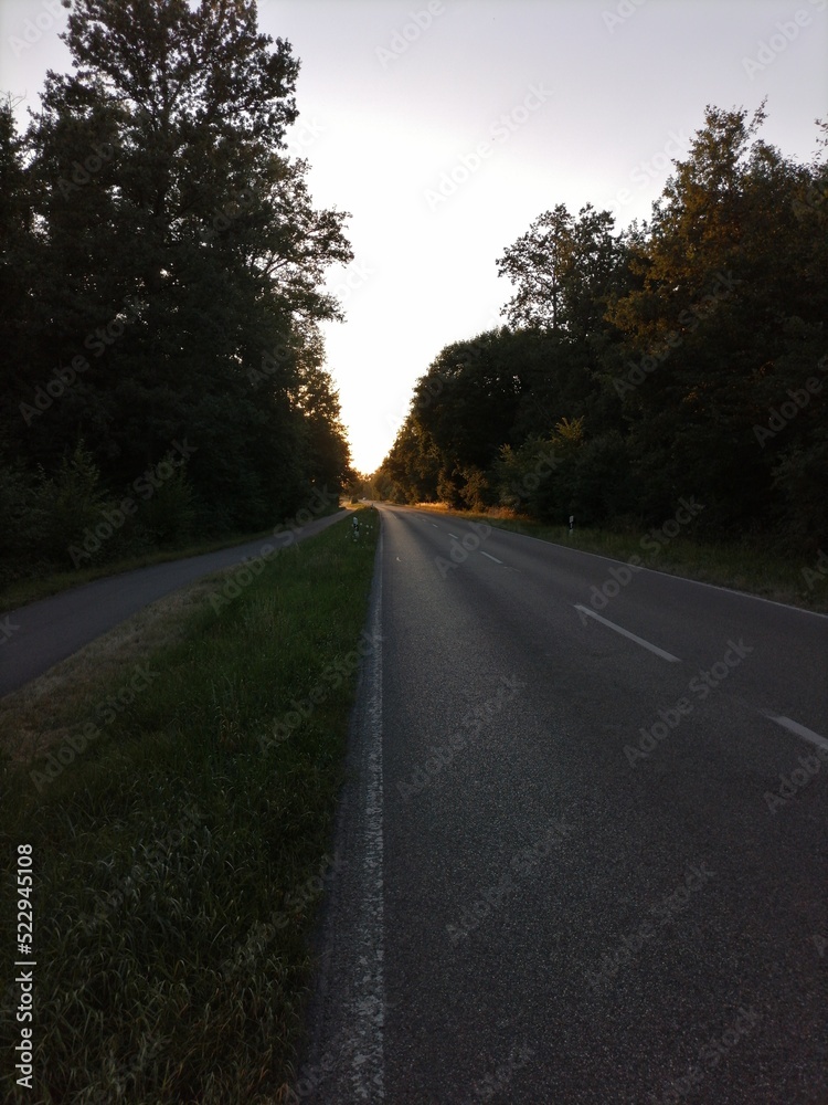 road in the sunset