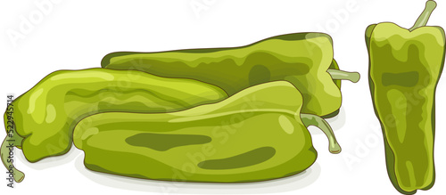 Cubanelle pepper. Capsicum annuum cubanelle, cuban pepper, Italian Frying Pepper. Fresh organic and healthy, vegetarian vegetables. Cartoon style. Vector illustration isolated on white background.