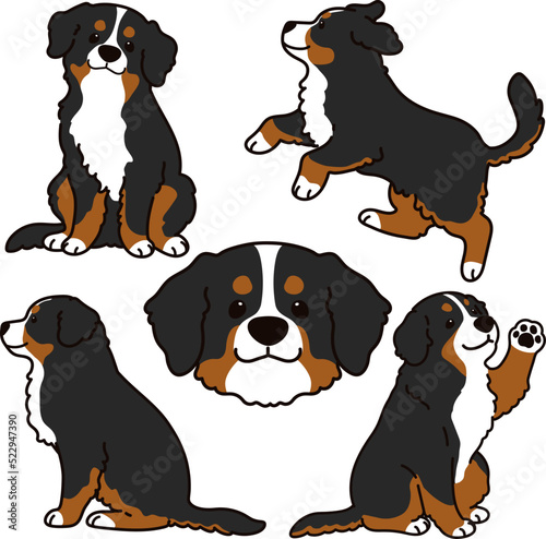 Simple and adorable Mountain Dog illustrations