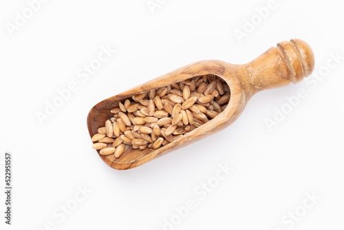 Scoop with wheat grains and spikelets on white background.