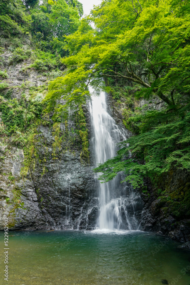 納涼シーズンの箕面大滝（大阪府箕面市）