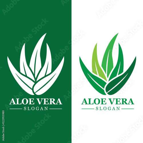 Green plant aloe vera logo vector icon symbol many benefits