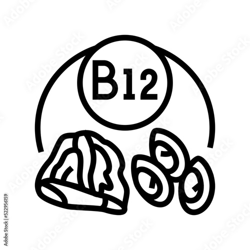 b12 vitamin line icon vector. b12 vitamin sign. isolated contour symbol black illustration