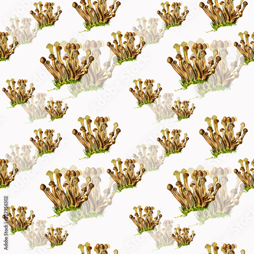 Mushrooms Seamless Wallpaper Seamless Watercolor Background Hand Drawn Forest Plants Mushrooms