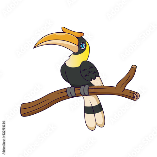 Cute hornbill cartoon. Vector illustration