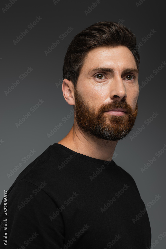 portrait of good-looking bearded man in black t-shirt isolated on grey.