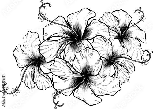 Hibiscus flowers in a vinta...