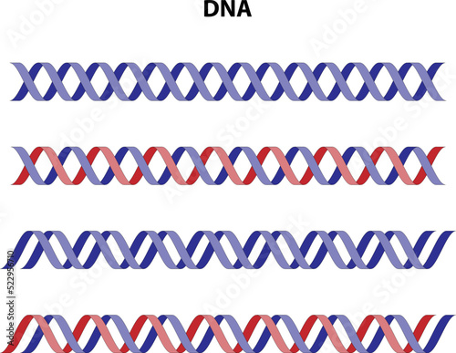 DNA