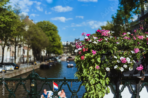 Primer plano de un macetero con flores de color rosa en un puente de Ámsterdam. Al fondo un canal. Día soleado de verano en los Países Bajos. photo
