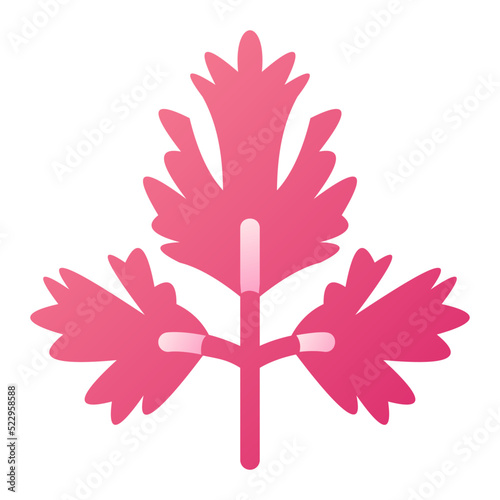 Parsley Icon