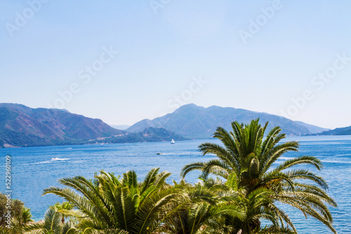 Palm trees, mountains, sea. Landscape background © rashevskiy