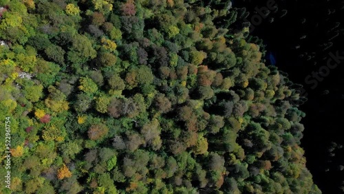 Exciting bird's eye view on the forested cacasian mountains. Tree crowns of deep woodland are painted in bright autumn colors. photo