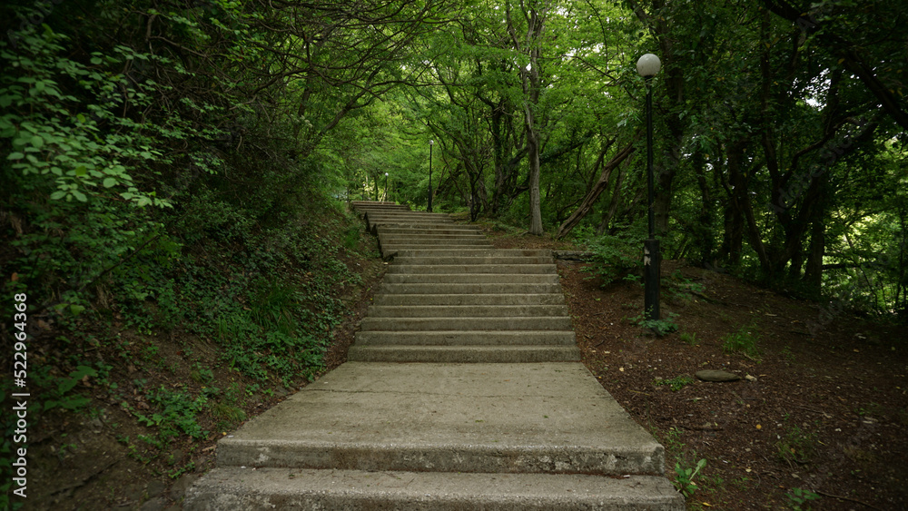 Stone steps in a green park. Staircase in the city of Lazarevskoe, Sochi, Russia Stone steps in a green park. Staircase in the city of Lazarevskoe, Sochi, Russia