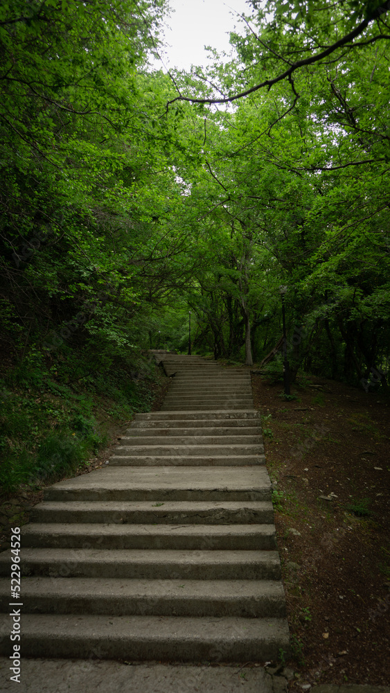 Stone steps in a green park. Staircase in the city of Lazarevskoe, Sochi, Russia Stone steps in a green park. Staircase in the city of Lazarevskoe, Sochi, Russia