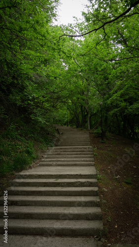Stone steps in a green park. Staircase in the city of Lazarevskoe  Sochi  Russia
