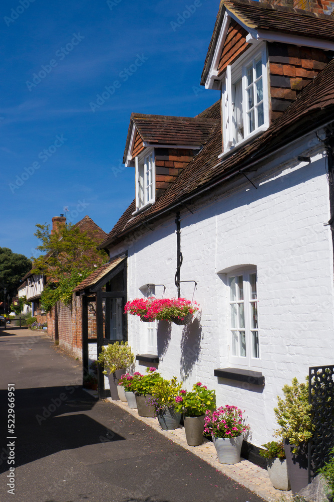 Odiham, Village Cottage