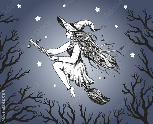 Halloween witch illustration. Girl flying on broomstick. Hand drawn vector illustration. Young woman on broom sketch. Halloween young witch.