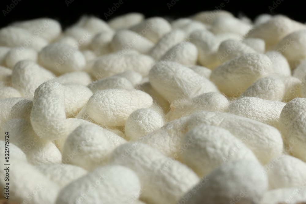 Heap of white silk cocoons, closeup view Heap of white silk cocoons, closeup view