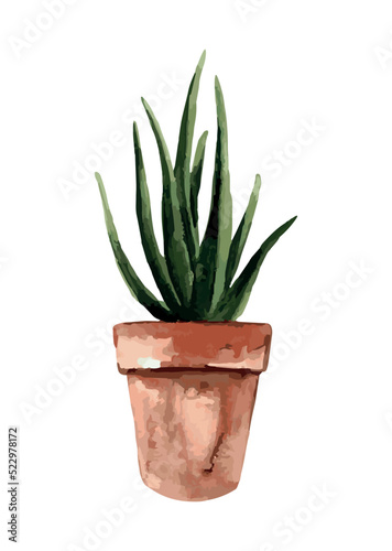 plant in pot. watercolor plant. vector illustration. flower. icon. leaf