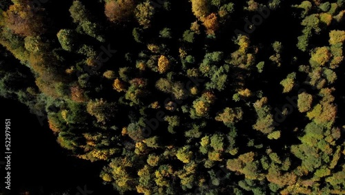 Top view on the autumn deep forest covering the ural mountains. lovely tree crowns painted in different red, orange, yellow and green colors. sunlight is falling down the tree tops. photo