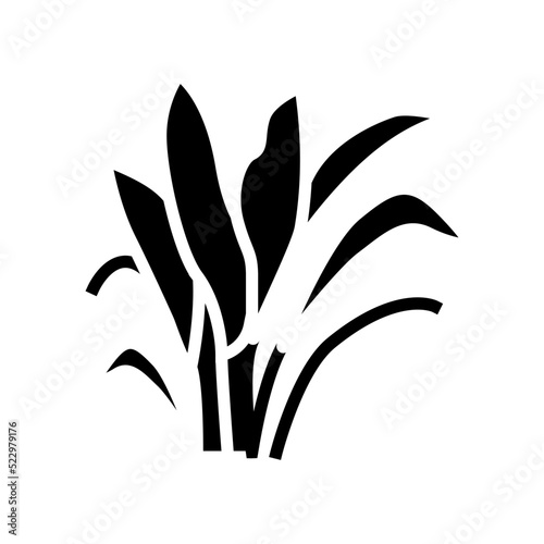 amazon sword glyph icon vector. amazon sword sign. isolated symbol illustration