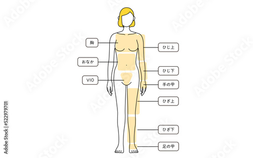 女性の脱毛イラスト　全身　前から