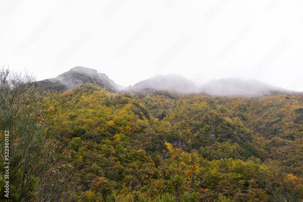 Autumnal native forest in the Courel mountains