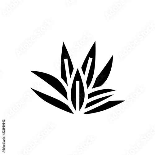 cryptocoryne wendttii glyph icon vector. cryptocoryne wendttii sign. isolated symbol illustration