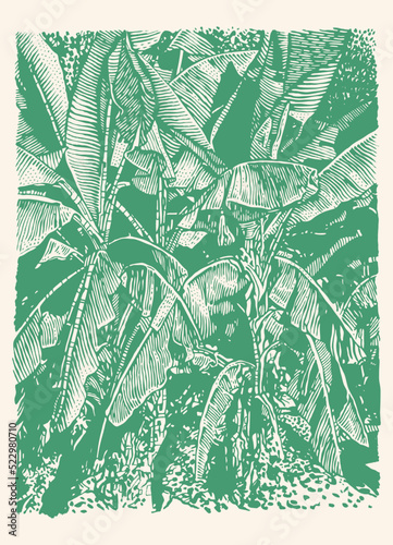 Tropical Abstract Background With Palm-Tree Leaf. drawing style. vector illustration