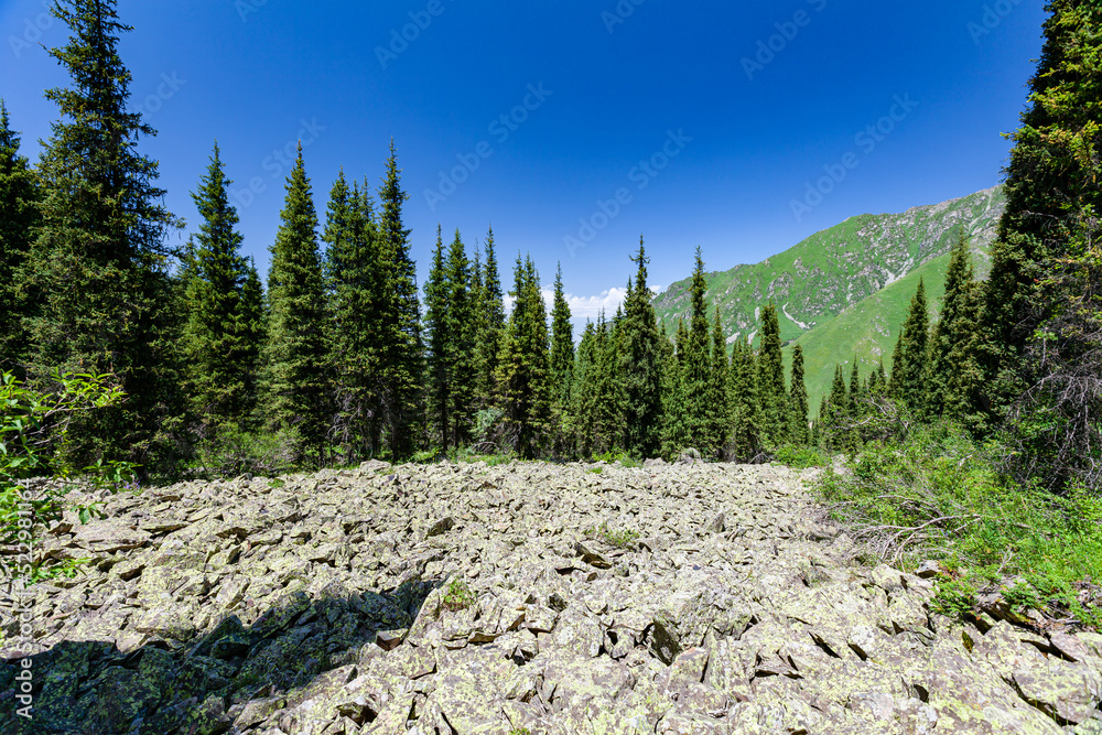 descent of stones in the picturesque gorge of Tien Shan, Almaty, Kazakhstan