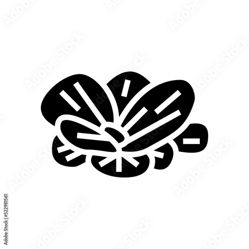 water lettuce glyph icon vector. water lettuce sign. isolated symbol illustration