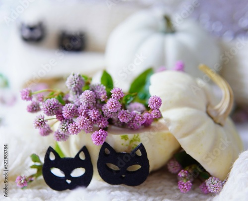 おしゃれなハロウィンとヒメツルソバの飾り