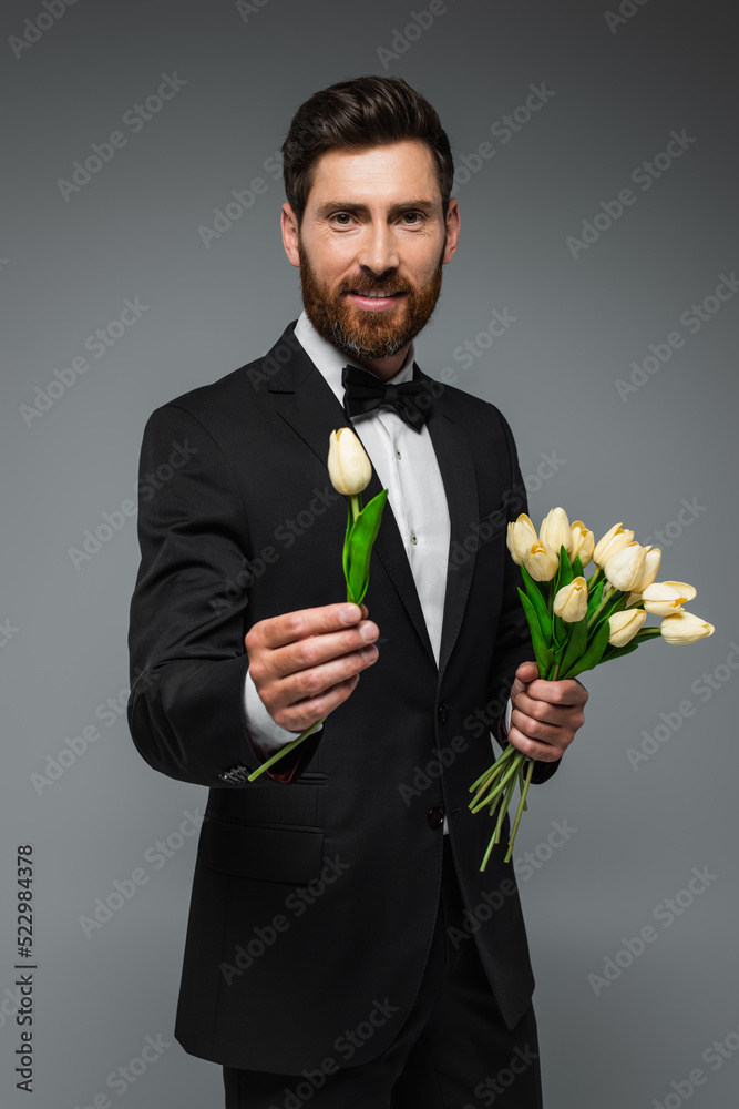 bearded man in elegant tuxedo with bow tie holding tulips isolated on grey. bearded man in elegant tuxedo with bow tie holding tulips isolated on grey.