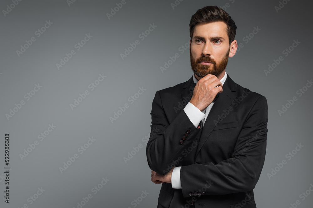 pensive man with beard standing in elegant suit with bow tie looking away isolated on grey. pensive man with beard standing in elegant suit with bow tie looking away isolated on grey.