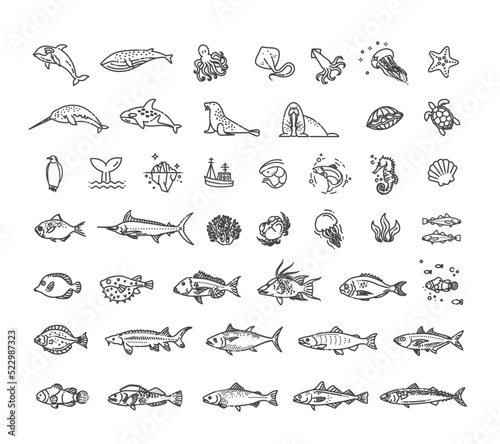 Ocean life. Underwater fauna flat line collection