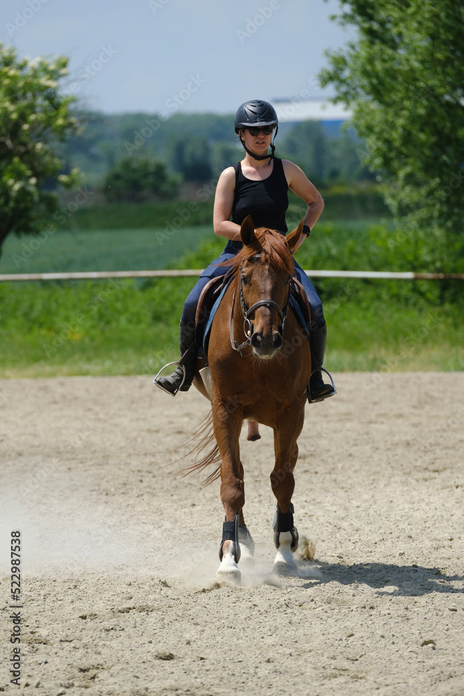 The girl with black helmet riding a sorrel stud at a riding school