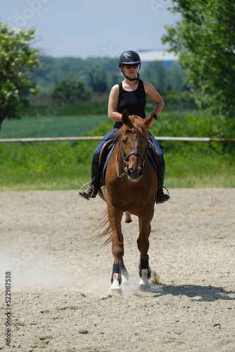 The girl with black helmet riding a sorrel stud at a riding school
